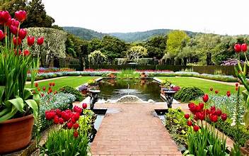 Garden & Outdoors