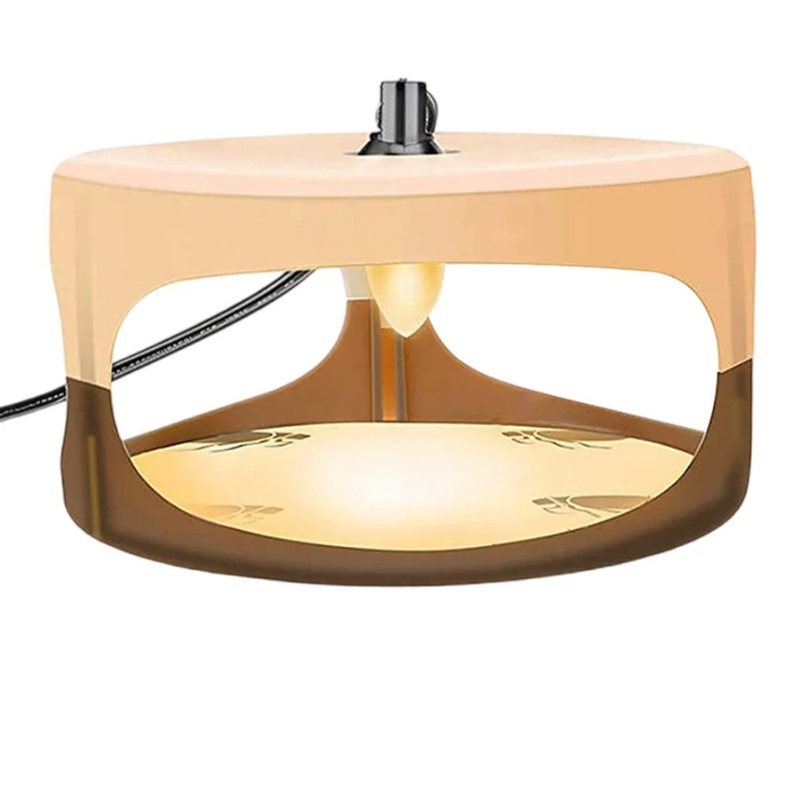 Indoor Bed Bug Trap