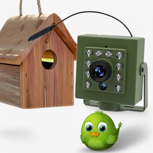 1080p HD weatherproof wildlife camera with night vision, motion detection, and remote access